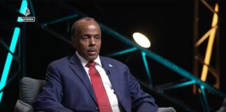 Somalia urges Arab states to block wider recognition of Somaliland
