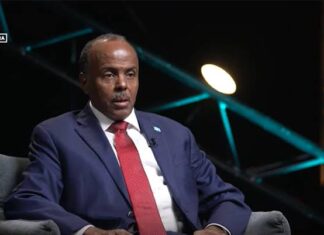 Somalia urges Arab states to block wider recognition of Somaliland