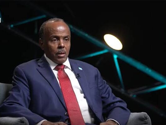 Somalia urges Arab states to block wider recognition of Somaliland