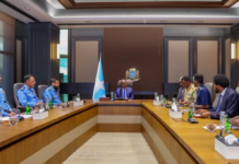 Somalia, Pakistan discuss strengthening air force cooperation