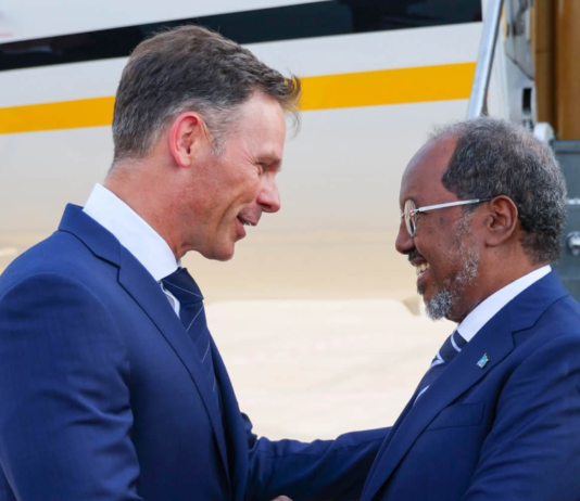 Somali President Arrives in Serbia for Talks, Non-Aligned Movement Anniversary
