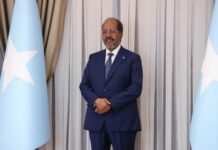 Somalia receives new Turkish, EU ambassadors