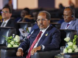 Somali President Pitches Investment Opportunities at Alamein-Africa Forum
