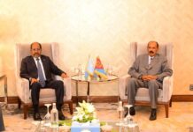 President Isaias holds talks with Somali President