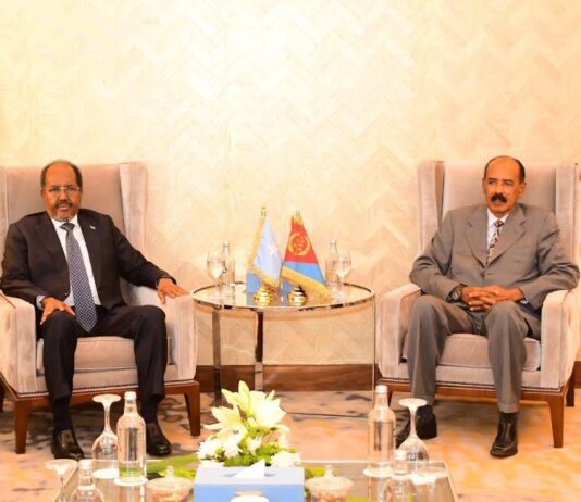 Madaxweyne Xasan Sheekh iyo Isaias Afwerki oo Kulan Muhiim ah Ku Yeeshay masar