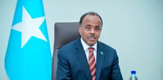 Somalia, Saudi Arabia Discuss Trade, Investment and Red Sea Security