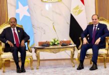 Somali President meets Egypt’s Sisi amid Horn of Africa tensions
