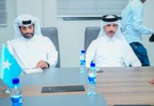 Somalia, Qatar Discuss Expanding Cooperation in Development and Investment