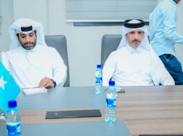 Somalia, Qatar Discuss Expanding Cooperation in Development and Investment