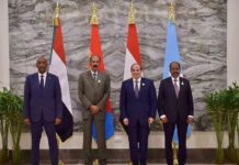 Egypt, Somalia, Eritrea and Sudan Hold Four-Way Summit on Regional Security and Cooperation