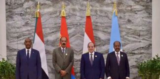 Egypt, Somalia, Eritrea and Sudan Hold Four-Way Summit on Regional Security and Cooperation