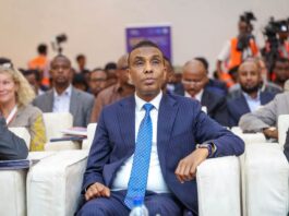 Somalia urges European investors to explore country’s strategic resources