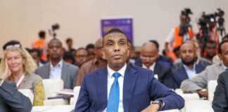 Somalia urges European investors to explore country’s strategic resources