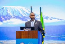 Somali parliament speaker highlights democratic transition at IPU conference in Tanzania