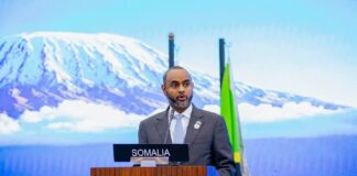 Somali parliament speaker highlights democratic transition at IPU conference in Tanzania