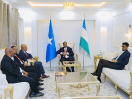 Puntland Acting President Meets Ethiopian Consul Amid Regional Tensions