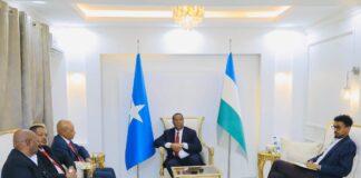 Puntland Acting President Meets Ethiopian Consul Amid Regional Tensions