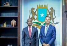 Somalia, Türkiye discuss cooperation on fisheries and blue economy
