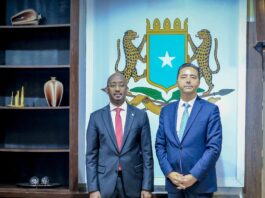 Somalia, Türkiye discuss cooperation on fisheries and blue economy