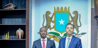 Somalia, Türkiye discuss cooperation on fisheries and blue economy