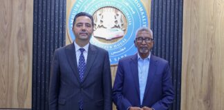 Guddoomiyaha Aqalka Sare oo qaabilay Danjiraha cusub ee Turkiga u fadhiya Soomaaliya