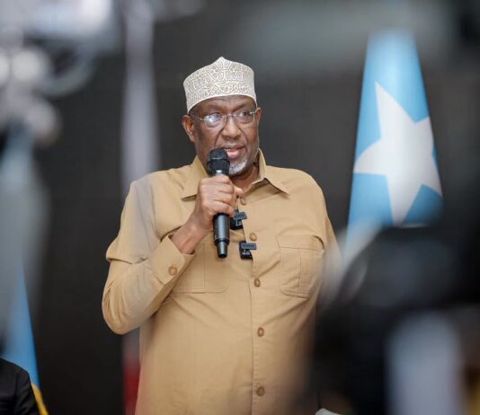 Sheekh Aadan Madoobe oo walaac ka muujiyey xaaladda amni ee Koonfur Galbeed