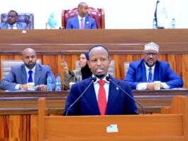 Somalia’s Health Minister Survives No-Confidence Motion in Parliament