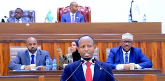 Somalia’s Health Minister Survives No-Confidence Motion in Parliament