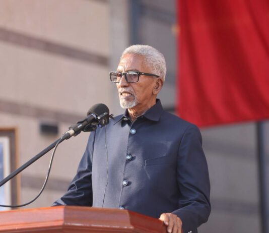 Somali Upper House Speaker Attends Türkiye’s 103rd Republic Day Celebration in Mogadishu