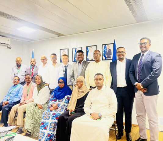 New EU Envoy Holds Talks on Somalia’s Media