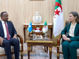 Somalia, Algeria seek closer parliamentary ties through friendship committee