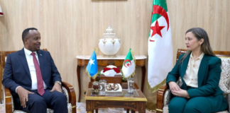 Somalia, Algeria seek closer parliamentary ties through friendship committee