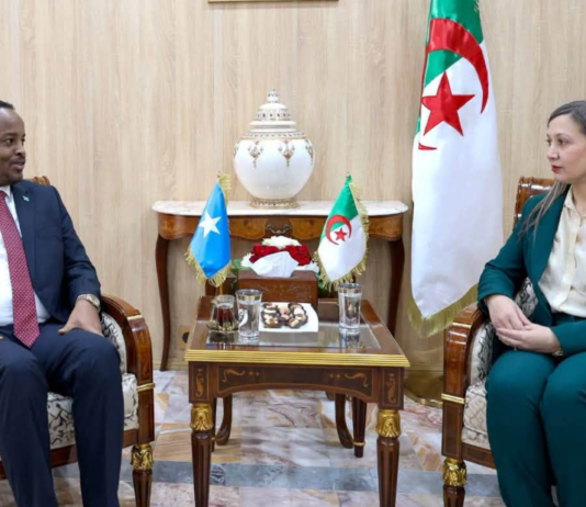 Somalia, Algeria seek closer parliamentary ties through friendship committee