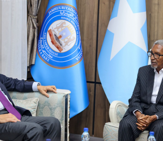 Guddoomiyaha Aqalka Sare oo Xafiiskiisa ku Qaabilay Danjiraha Cusub ee Midowga Yurub
