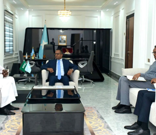 Somalia’s foreign minister bids farewell to Saudi ambassador