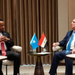 Somalia and Iraq discuss expanding trade and livestock exports
