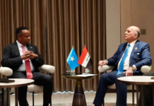Somalia and Iraq discuss expanding trade and livestock exports
