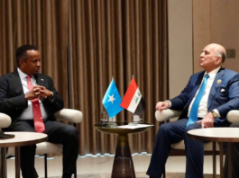 Somalia and Iraq discuss expanding trade and livestock exports