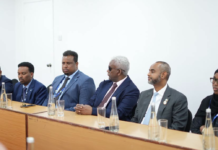 Somalia, Türkiye Discuss Stronger Parliamentary Ties at IPU Assembly