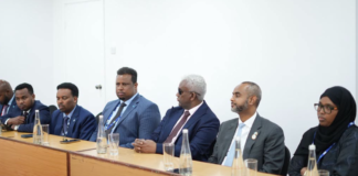Somalia, Türkiye Discuss Stronger Parliamentary Ties at IPU Assembly