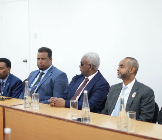 Soomaaliya iyo Turkiga oo xoojinaya iskaashiga baarlamaannada