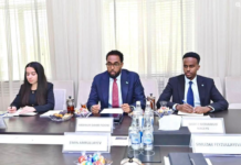 Somalia and Azerbaijan Discuss Expanding Education Cooperation