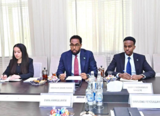Somalia and Azerbaijan Discuss Expanding Education Cooperation