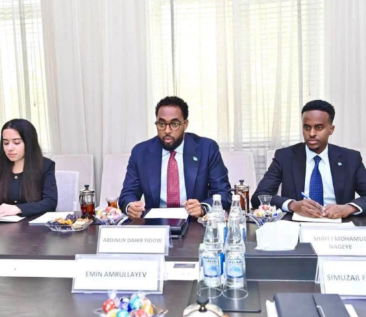 Somalia and Azerbaijan Discuss Expanding Education Cooperation