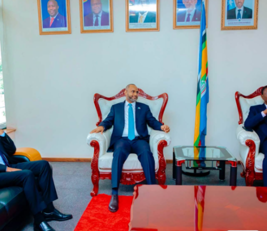 Somalia, Kenya Parliament Speakers Meet in Tanzania to Strengthen Cooperation