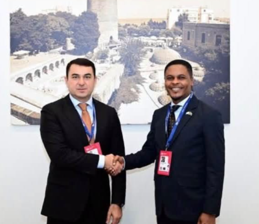 Somalia and Azerbaijan Discuss Expanding Cultural Cooperation
