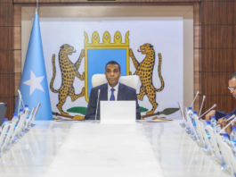 Soomaaliya oo dhistay guddi lix wasaaradood ah oo u diyaar-garooba Ebola