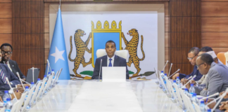 Soomaaliya oo dhistay guddi lix wasaaradood ah oo u diyaar-garooba Ebola