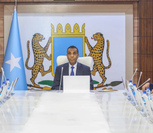Soomaaliya oo dhistay guddi lix wasaaradood ah oo u diyaar-garooba Ebola